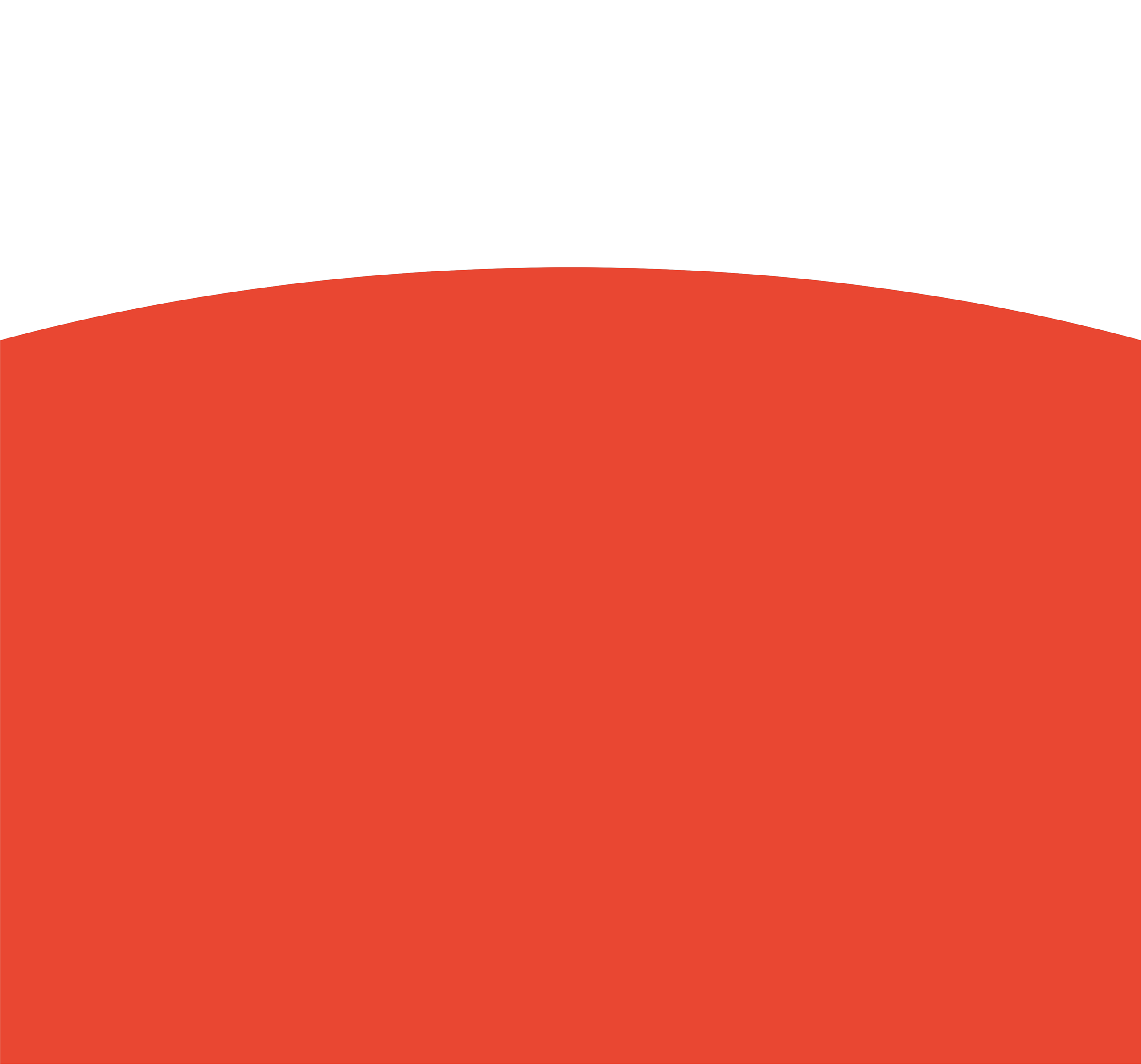 O Show dos seus sonhos...