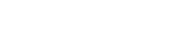 VENDA E EXECUÇÃO DE SHOWS / CONTRATAÇÃO DE ARTISTAS